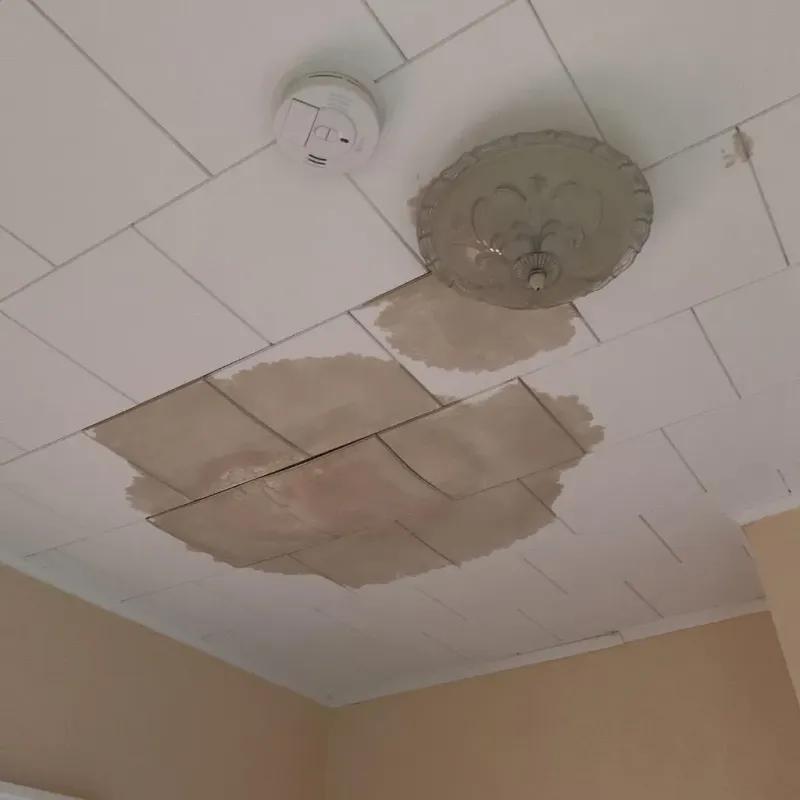 Ceiling Water Damage Repair in Romney, WV