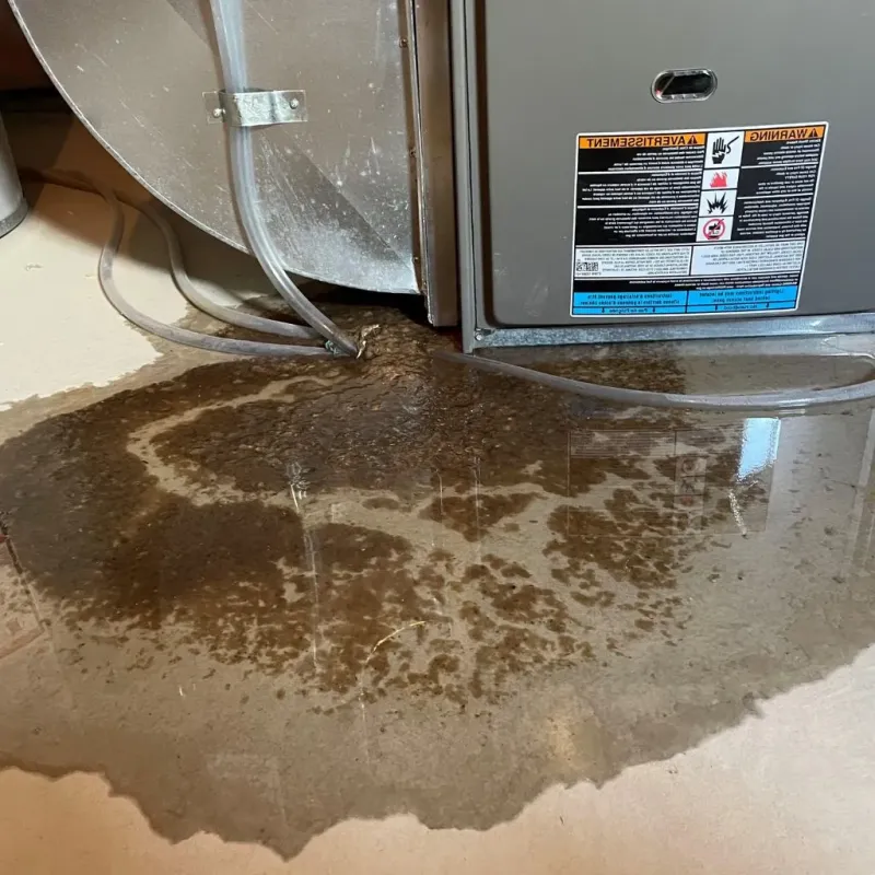 Pipe Burst and Leak Restoration in Romney, WV